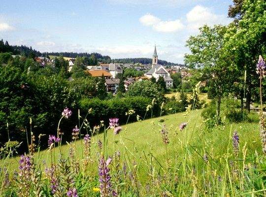 ortsbild-dobel-sommer_slider