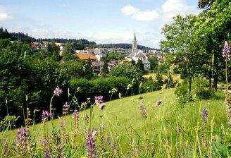 ortsbild-dobel-sommer_slider