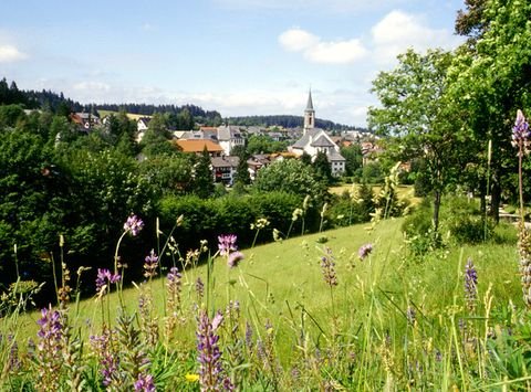 Schönwald Wohnungen, Schönwald Wohnung mieten