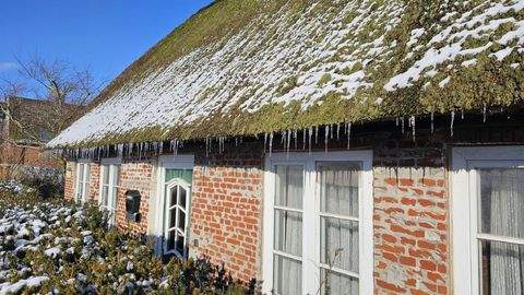 Kollmar Häuser, Kollmar Haus kaufen