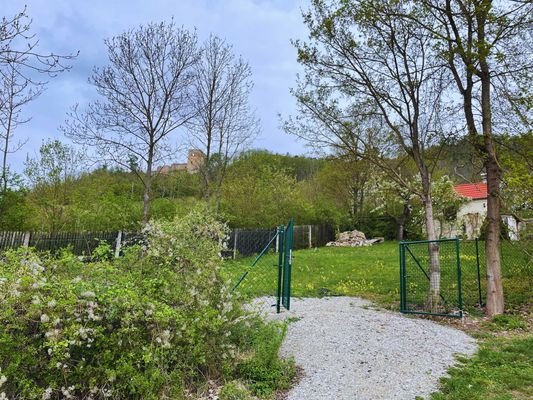 Blick auf die Lobdeburg