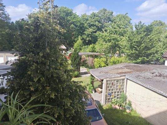 8986KC-18 Blick in den Garten