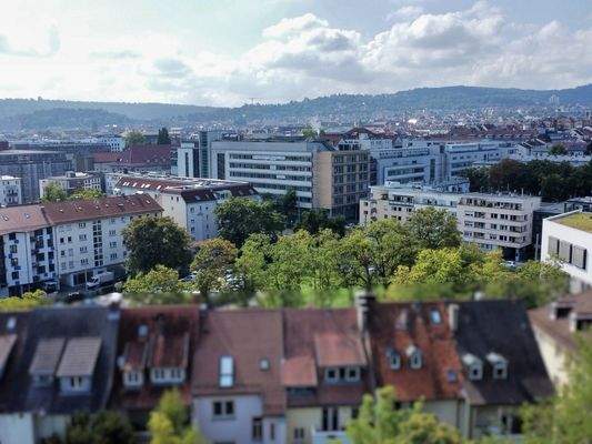 Blick vom Grundstück