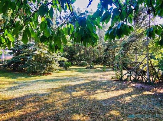 Großzügiges Grundstück