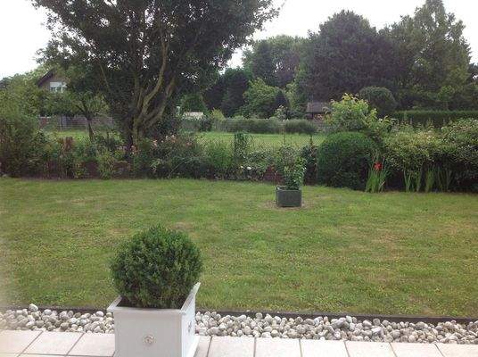 Blick in den Garten