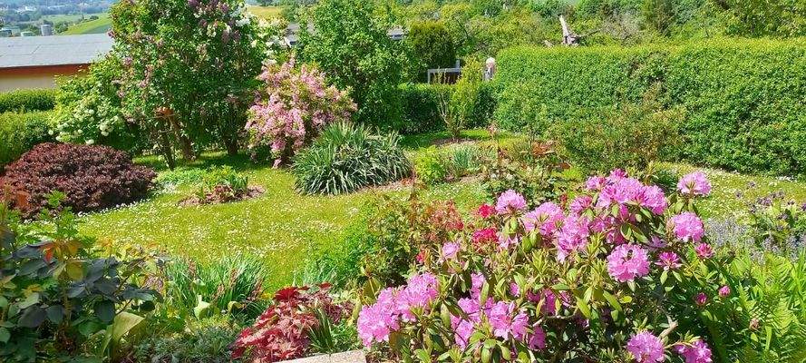 Gartenimpressionen des letzten Jahres (4).JPG