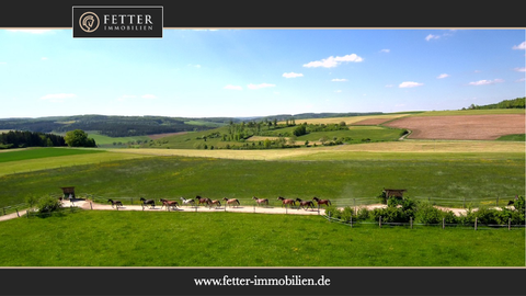 Dischingen Bauernhöfe, Landwirtschaft, Dischingen Forstwirtschaft