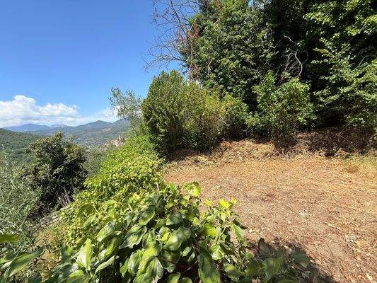 AP_1026_TERRA ITALIA IMMOBILIEN_LIGURIEN_APRICALE_