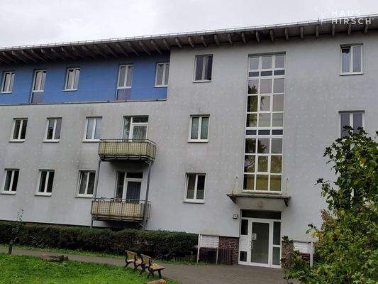 20251007_120023_resized