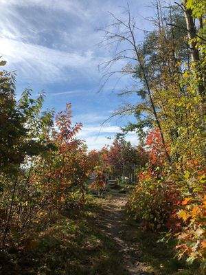 Steinberg am See (8).jpeg