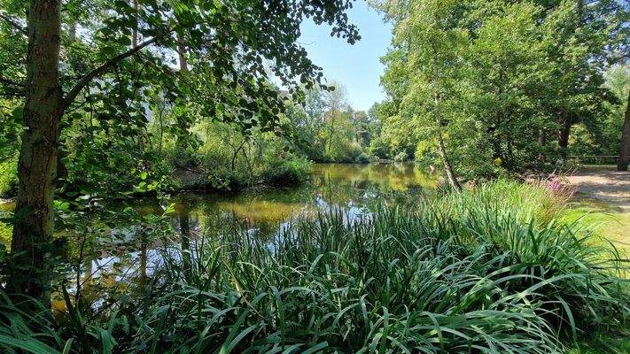 Langwassersee hinter Gebäude