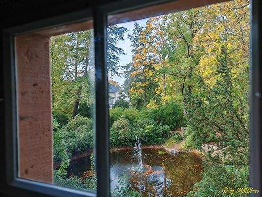 Blick über Goldfischteich bis zum Schloss