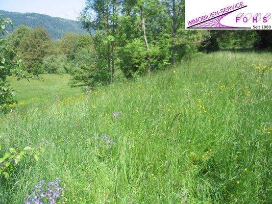 +Bad-Überk.Flur 220-4=3.245 m²Hinter dem Weiler 19