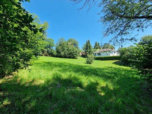 grundstück3.jpg