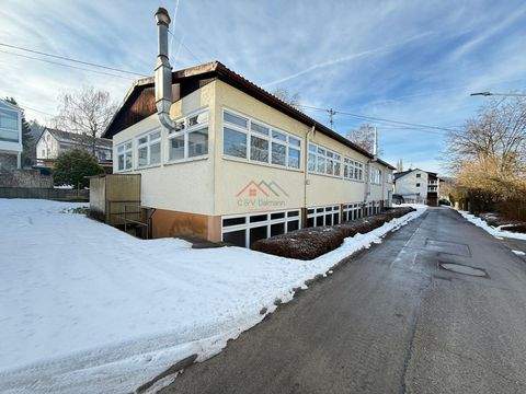 Tuttlingen Halle, Tuttlingen Hallenfläche