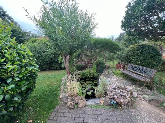 Garten mit Teich