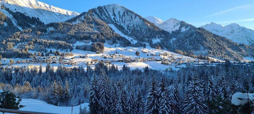 Ferienhaus Österreich kaufen001