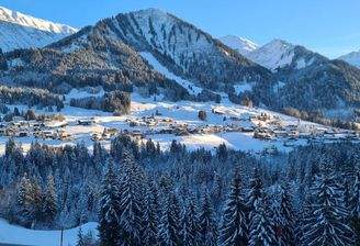 Ferienhaus Österreich kaufen001