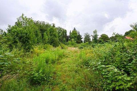 Schellerten Industrieflächen, Lagerflächen, Produktionshalle, Serviceflächen