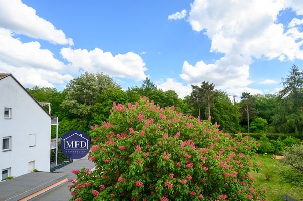 6-Heideblick-aus-DG-05-25.jpg