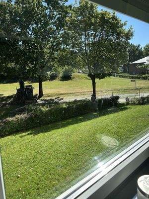 Ausblick in Park (Sommer)