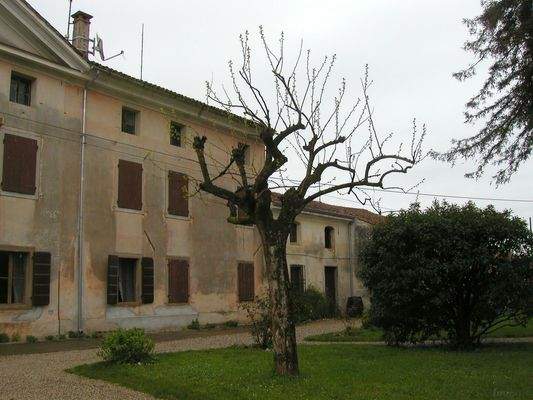 Liegenschaft Italien Udine kaufen