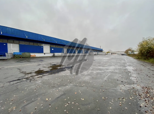 INFOS UNTER: 06171-586000