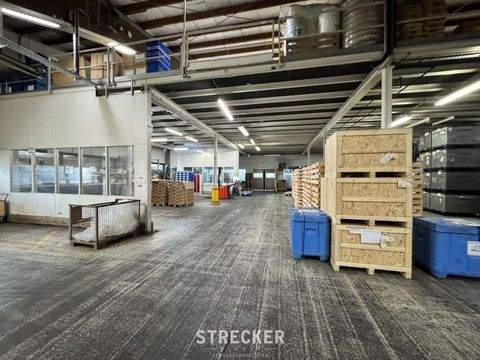 Königsbach-Stein Halle, Königsbach-Stein Hallenfläche