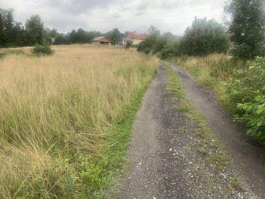 20230806_084914568_iOS