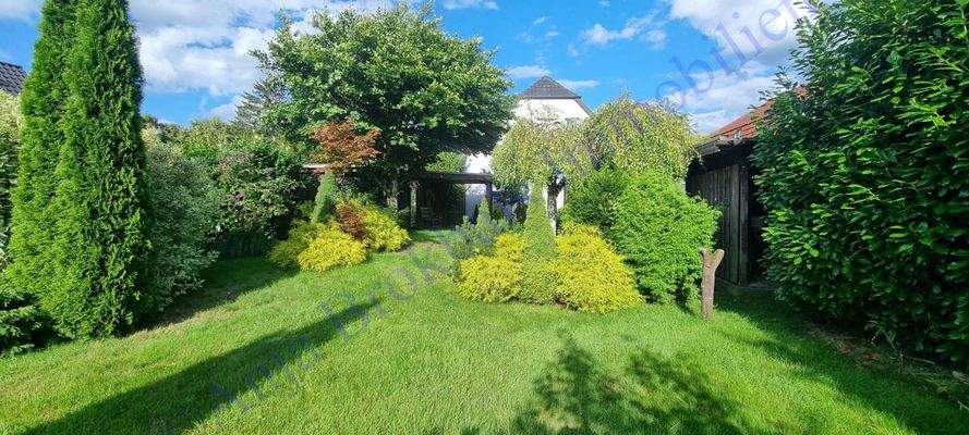 Weitläufiger Garten