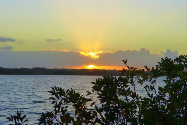 Die Schlei