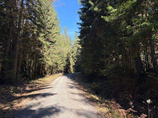 2025-11-05 12.11.51.jpg