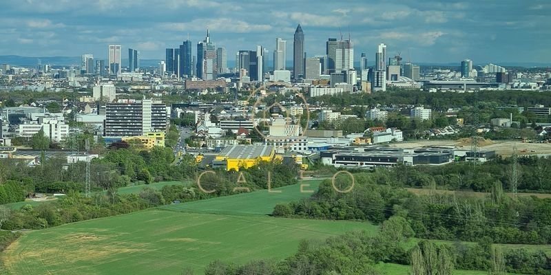 Ausblick_FFM