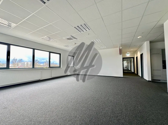 INFOS UNTER: 06171-586000