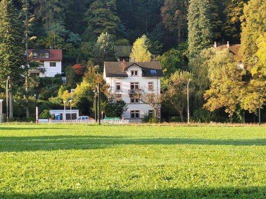 Blick nach Süd2.jpg