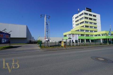 Gronau Halle, Gronau Hallenfläche