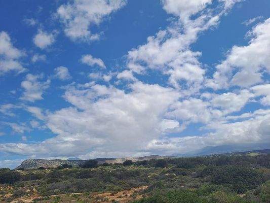 Kreta, Skaleta: Riesiges Grundstück zum Verkauf - ideal für touristische Investitionen!