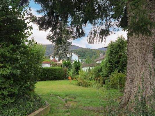 Blick in den großen Garten