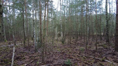 Kummersdorf Grundstücke, Kummersdorf Grundstück kaufen