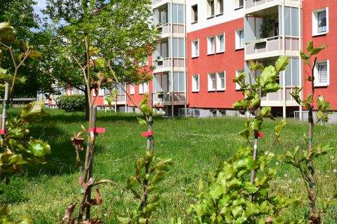 Borna Wohnungen, Borna Wohnung mieten