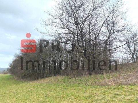 Blieskastel Grundstücke, Blieskastel Grundstück kaufen