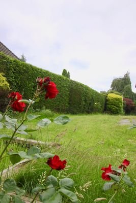 herrliches Grundstück