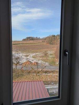 Blick aus dem Fenster