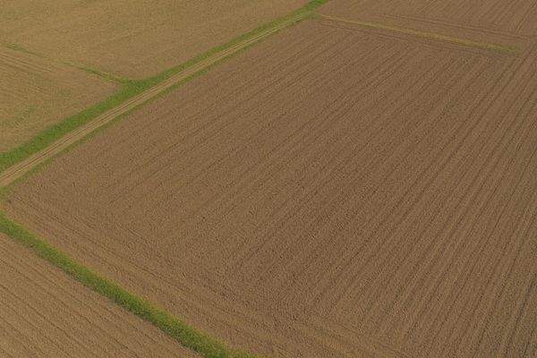 Refenrezbild Ackerland