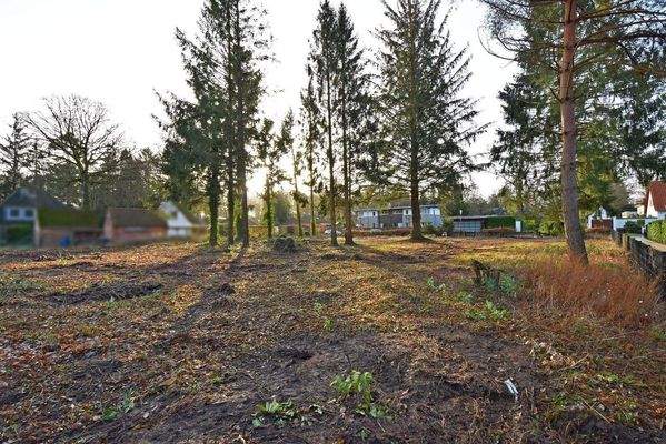 rechteckig geschnitten