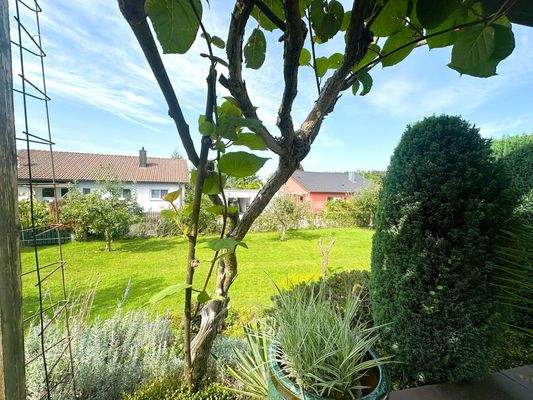 Impressionen Gartenbereich