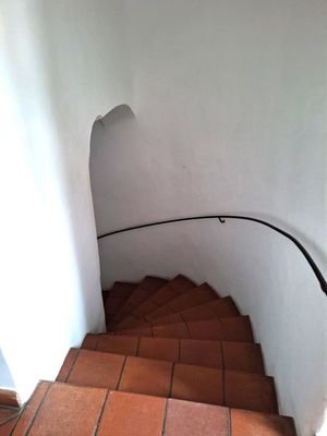 Bild 47