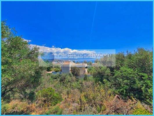 a183c784ccae46fb937d9af19b4af6cd-original