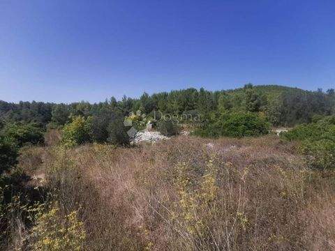 Blato Bauernhöfe, Landwirtschaft, Blato Forstwirtschaft