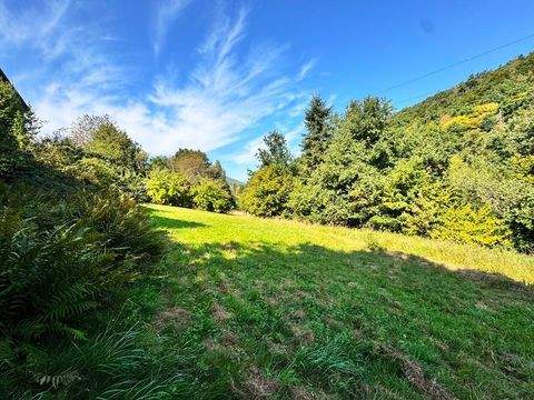 Walldürn-Rippberg Häuser, Walldürn-Rippberg Haus kaufen